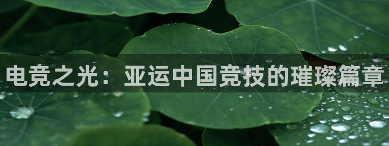 多宝电竞平台