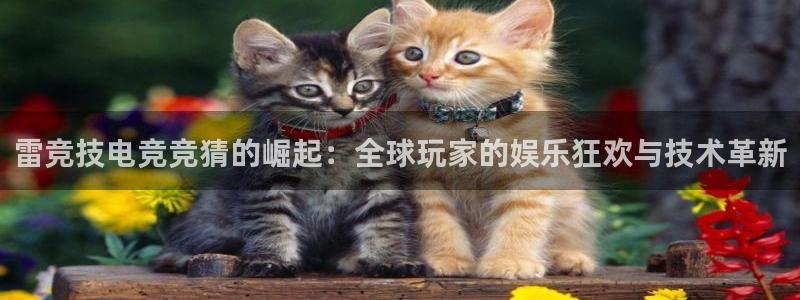 多宝电竞app：雷竞技电竞竞猜的崛起：全球玩家的娱乐狂欢与技术革新