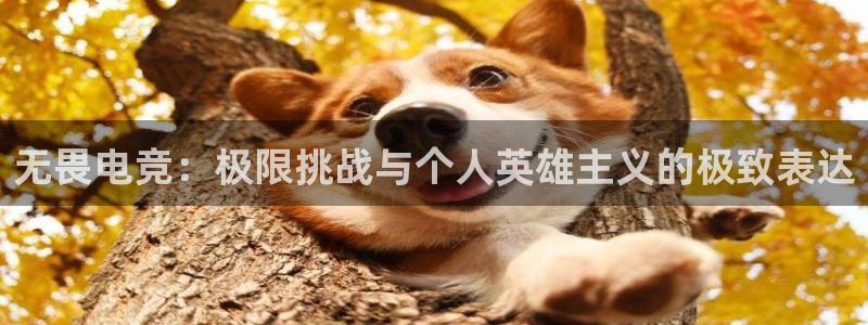 多宝电竞|Home：无畏电竞：极限挑战与个人英雄主义的极致表达