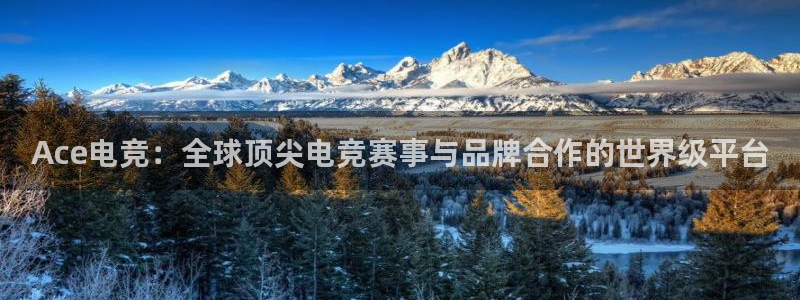 多宝电竞|welcome：Ace电竞：全球顶尖电竞赛事与品牌合作的世界级平台
