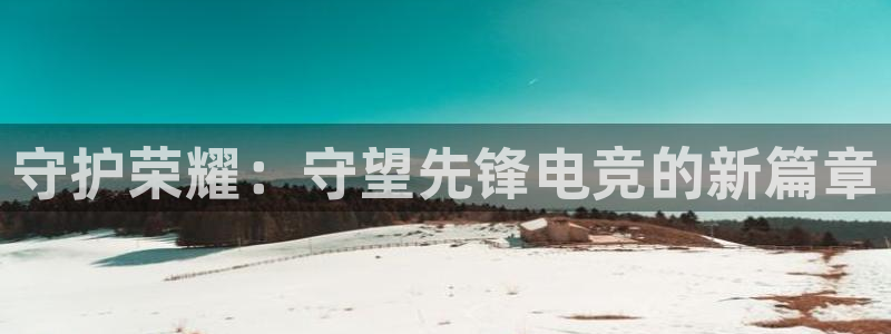 多宝电竞(体育)官方网站：守护荣耀：守望先锋电竞的新篇章