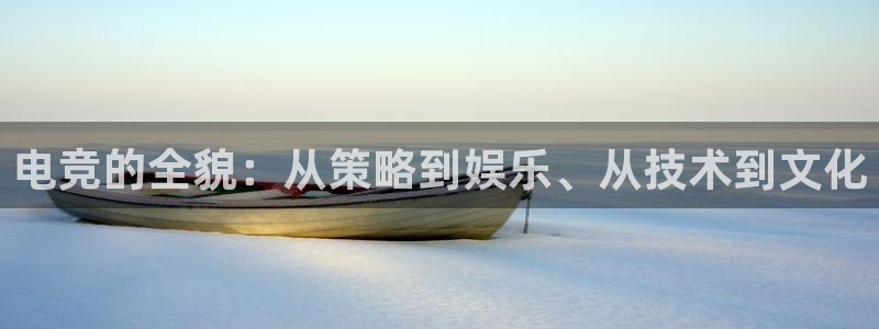 多宝电竞平台：电竞的全貌：从策略到娱乐、从技术到文化