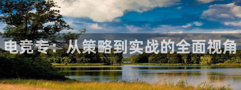 多宝电竞入口：电竞专：从策略到实战的全面视角